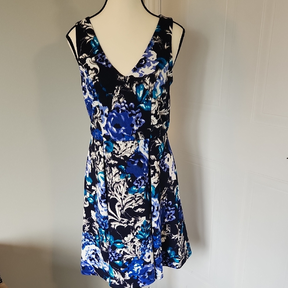 Dex sleeveless fit and flare dress in blue floral, size medium
